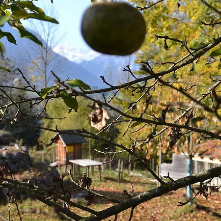 Oase Berta 4* Bad Aussee
