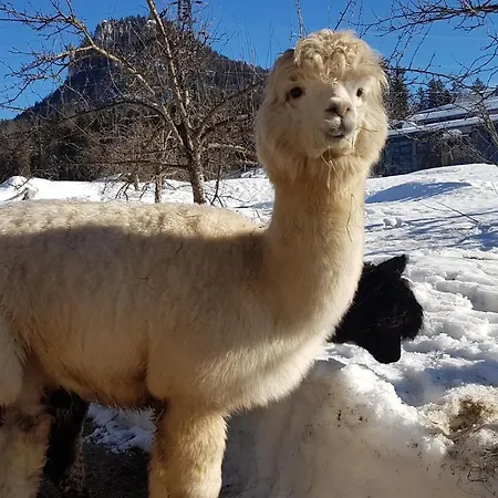 Oase Berta Aparthotel