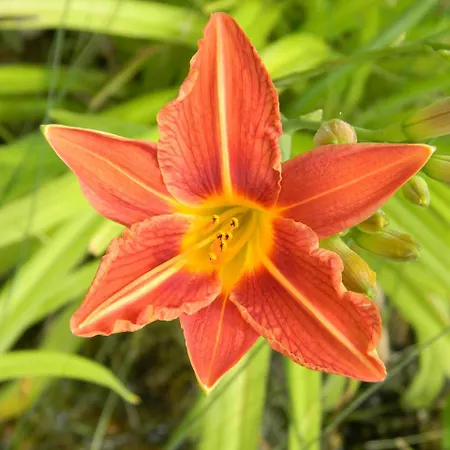 Oase Berta Aparthotel