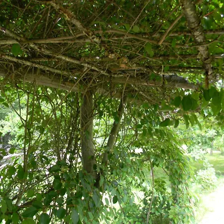 Apart Otel Oase Berta