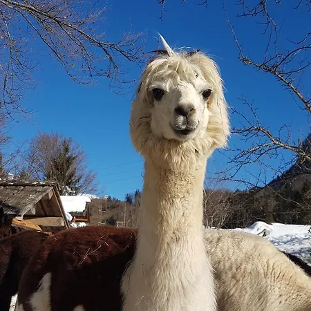 Oase Berta Bad Aussee