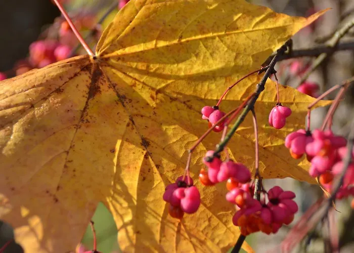 Oase Berta Apart Otel Bad Aussee