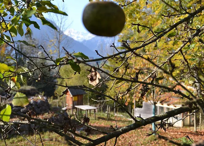 Oase Berta 3* Bad Aussee