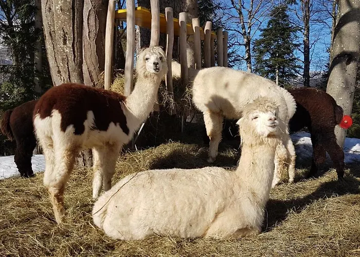 Aparthotel Oase Berta 3*