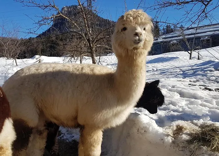 Oase Berta Aparthotel