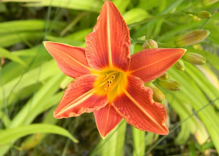 Oase Berta Aparthotel