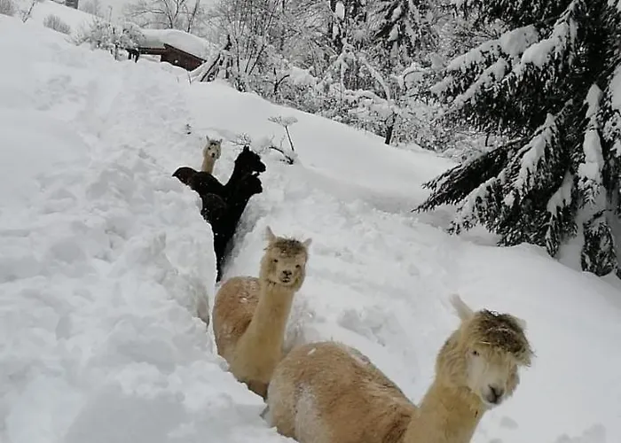 Oase Berta Aparthotel 3*