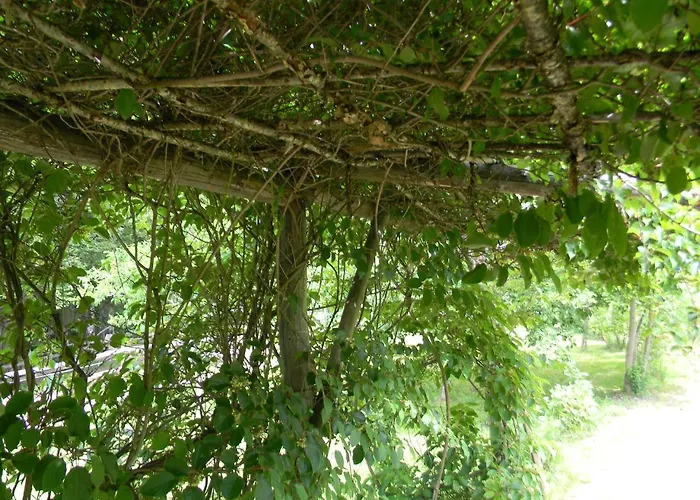 Aparthotel Oase Berta