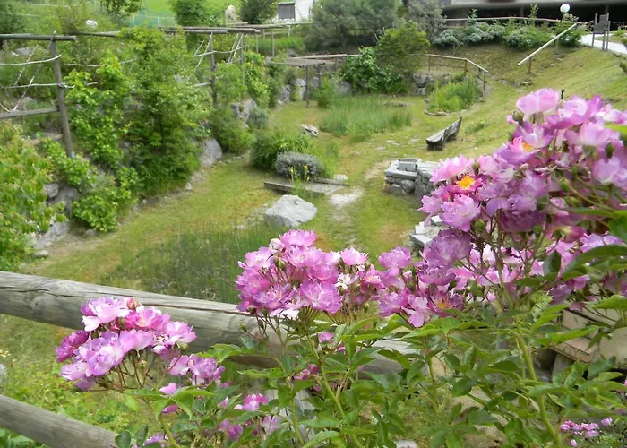 Aparthotel Oase Berta 3*