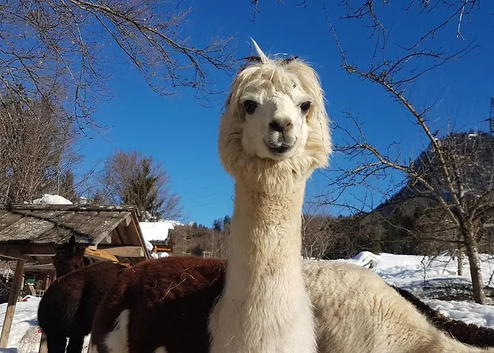 Oase Berta Bad Aussee